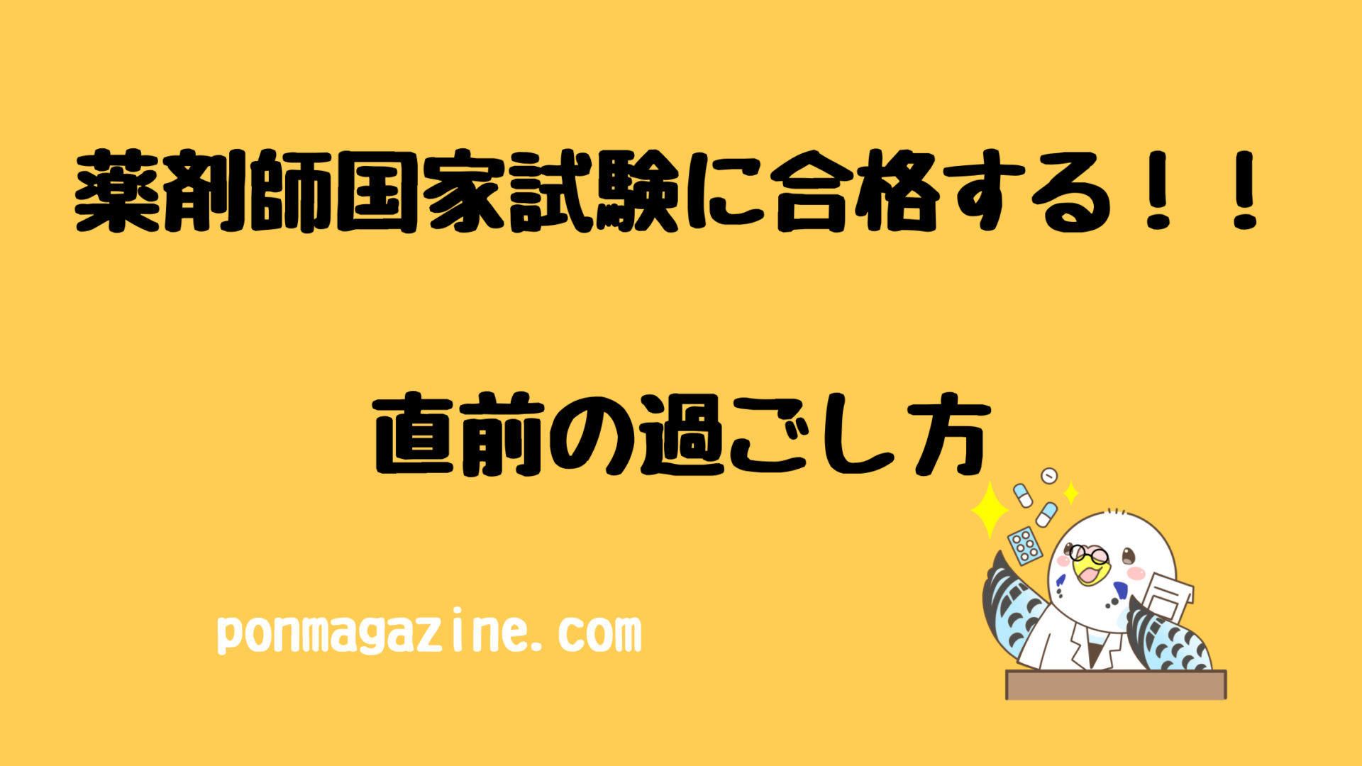 108 薬ゼミ 直前講習 総復習 2022 衛生 薬剤師国家試験薬学ゼミナール